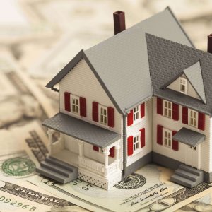 Disposition Investors Disposition Investors